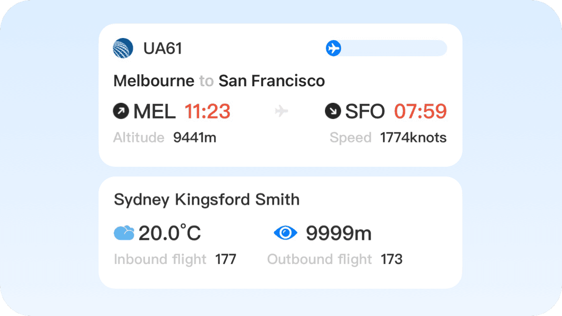 Flight info